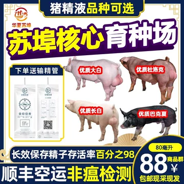 猪精子-猪精子促销价格、猪精子品牌- 淘宝