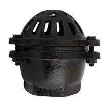 Internal thread thread thread bottom valve H12X pump bottom valve check valve cast iron suction valve DN50 65 80 100