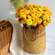 Daisy dried flower bouquet living room decoration decoration decoration shooting props Yunnan natural real flowers ins flower arrangement bedroom