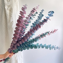 Eucalyptus leaf immortalized dried flower bouquet home living room decoration Nordic wind leaf decoration ornaments natural real flowers