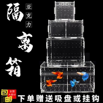 Fish tank Aquarium Guppy hatching box Delivery room breeding box Transparent acrylic isolation box Wall-mounted suction cup type