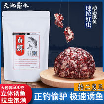 Tianchi red bait white bait red worm meat black pit wild fishing crucian carp rice bait red worm mate bait