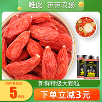 Only this official flagship store wolfberry Ningxia premium 500g authentic Gou Shuji brewing tea large particles bulk male kidney