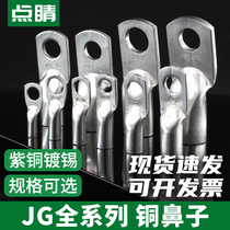JG copper terminal thickened Marine copper nose tinned copper connector lug JG10 16 25 50-8-12