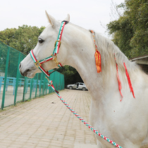 National flag color horse cage head strong Horse Dragon Horse Dragon horse dragon head wear-resistant horse cage adjustable horse head cover horse rope