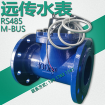  Remote water meter Photoelectric direct reading 485 communication port M-BUS protocol industrial-grade intelligent hot and cold water meter 80 100