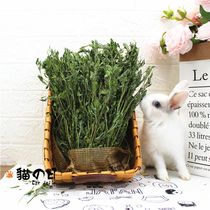 Herda 21 years alfalfa fresh rabbit grass boutique box purple flower Rosewood grass rabbit grain Chinchilla guinea pig pasture