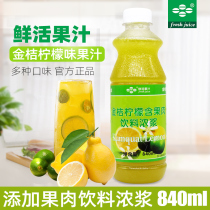 Fresh kumquat lemon concentrate juice contains pulp milk tea shop special kumquat lemon juice concentrate juice drink 840ml