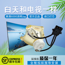 Sanyo Projector Bulb PLC-XU1050C PLC-XU1060C PLC-XU105 PLC-XU106 PLC-XU116