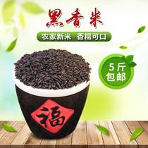 Black rice black glutinous rice hei da mi black rice northeast purple Heilongjiang farm produced grains xue nomi