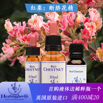 Red chestnut Bach bequbach flower essence abdominal wheel worried about the safety of others 10 30ml liquid 12G granules