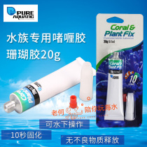 P Brand Glue coral glue quick-drying gel gum Moss glue tool water grass fish tank landscape non-alongfa Super Glue