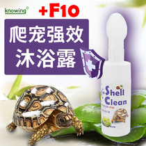K Nuoyin reptile efficient sterilization cleaning shower gel tortoise turtle back armor cleaning agent supplies cleaning and sterilization