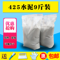 Toilet cement tile 425R leak patch cement repair quick-drying brick wall 425 floor drain decoration Black Cement