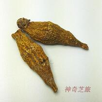 Tibet Dendrobium candidum Dendrobium humus fresh strips processing 50g tonifying spleen and stomach Super Yunnan