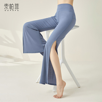 Wide leg dance pants female modern dance practice clothing pants body training clothing Chinese classical dancing clothes spring and autumn