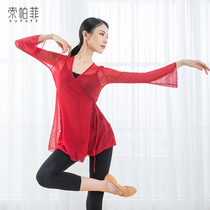 Ancient style Chinese style classical dance body rhyme gauze jacket female adult dance practice clothes elegant performance net gauze costume