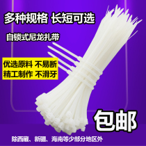 Self-locking nylon cable tie strong plastic fixed buckle strap white 4x200mm strangled dog strapping