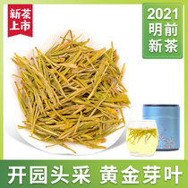 Tea head Anji White Tea Gold Bud tea 2021 new tea Super handmade spring tea gift box authentic Ming before milk White