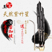 Wangs professional Professional performance Sheng Zizhu electroplated black pipe 36 spring Sheng Musical instrument Pa Sheng Fang Dou Sheng 36 spring Sheng