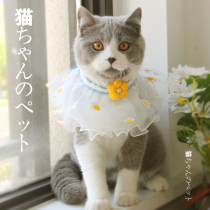 Handmade pet collar lace cat accessories cute silent decoration small dog collar blue cat short