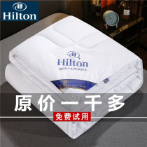 Exit Hilton Hotel Silk Quilt 100 Mulberry Silk 6 Jin Spring Autumn Air Conditioning Quilt Summer Cool Quilted By Winter Quilt Core Summer Quilt