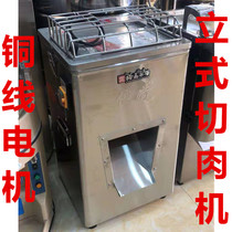 Yongqiang YQ-300 luxury commercial stainless steel vertical hob meat cutter single cutting electric silk slicing slicing machine