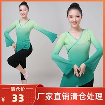 Ethnic Dance Body Rhyme Dance Dress Classical dance The female adult body mesh yarn dance dress rehearsical and functional blouse