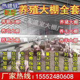 Farming greenhouse steel pipe full set of chicken duck and goose farm pig house Cowshed sheepfold custom Oval tube insulation vegetable planting