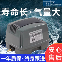 Haili HAP air pump Ultra-quiet atmospheric volume household seafood pool fish pond fish flush oxygen aerator oxygen pump