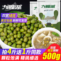 Buy 4 get 1 catty mung beans Jiuli Lake fresh farm mung bean grain and oil particles full meat multi-skin thin 500g