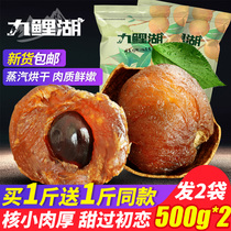 Longan buy 1 get 1_a total of 500g * 2 bags of new dried longan Fujian specialty longan dried longan meat non-nuclear