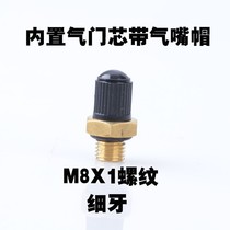 Container expansion water tank inflator pressure tank barrel sealed valve core shock absorber wall-hung furnace copper gas valve nozzle