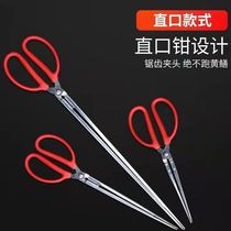 Stainless steel yellow eel clip catch-up to sea tool big full eel special tool to catch crab-catching loach pliers