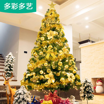 Christmas tree home set meal 1 5 meters 1 8 2 1 2 4 3 meters encrypted Christmas scene decorations push head