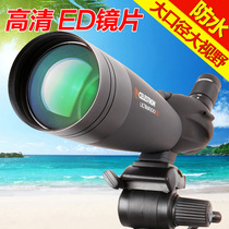 Startron Faraway 22-66x100AED View Bird Mirror Telescope View Target Mirror High Fold High Definition View View Target