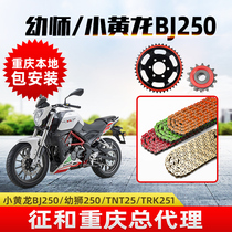 Suitable for Benali Cub BJ250 TNT25 TRK251 silent tooth plate sign and oil seal chain sleeve