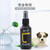Carbon molecular dog stool pet inducer 50ml defecation urine positioning sterilization spray supplies