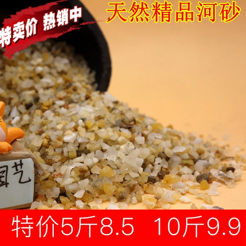 Речная песчаная рыба Танк День Песок Природная ландшафтная вода клан.