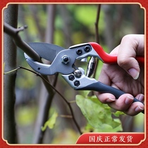 Floral scissors rough scissors pruning scissors tree shears fruit trees scissors flower scissors gardening tools
