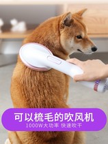 Dog hair dryer hairdressing artifact quick drying bath dedicated to dog blowing hair Teddy pet silent one drying