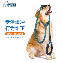 Dog P rope training Professional large medium and small puppy dog walking Explosion-proof punching traction rope Pet supplies Collar P word chain