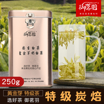 Yuming Yu Anji Huangdu Village Golden Bud Baking Extra 250g authentic Original Alpine Golden Leaf 2021 New Tea
