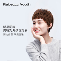 Rebecca wig female eyebrows dog gnaw bangs short straight hair full real hair Ma Yili star with the same fashion headgear
