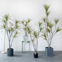 Nordic wind simulation dragon blood tree fake plant millennial Wood potted plant simple indoor window restaurant decoration floor ornaments