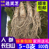 Fresh ginseng in Changbai Mountain northeast Changbai Mountain 6 years 8 wet ginseng wine stewed for chicken soup