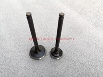 Off-road vehicle ATV Yinxiang YX 150 160 oil-cooled engine intake valve exhaust valve