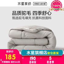 Water Star Core to Enjoy Camel Hair antibacterial Four Seasons Thickened Quilt by students Dormitory Quilts Warm And Chill Quilt by Core Autumn and Winter