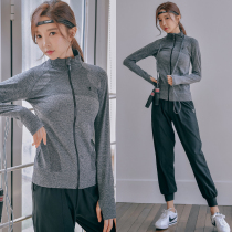 Sports suit female gym net red fashion professional autumn and winter yoga quick-drying clothes leisure running autumn yoga clothes