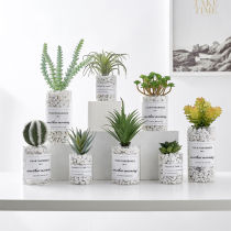 Nordic ins net red simple cactus simulation plant green plant potted office desktop fleshy decorative ornaments